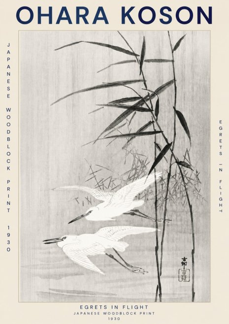 Ohara Koson Two Herons and Reeds No3 - Plakat