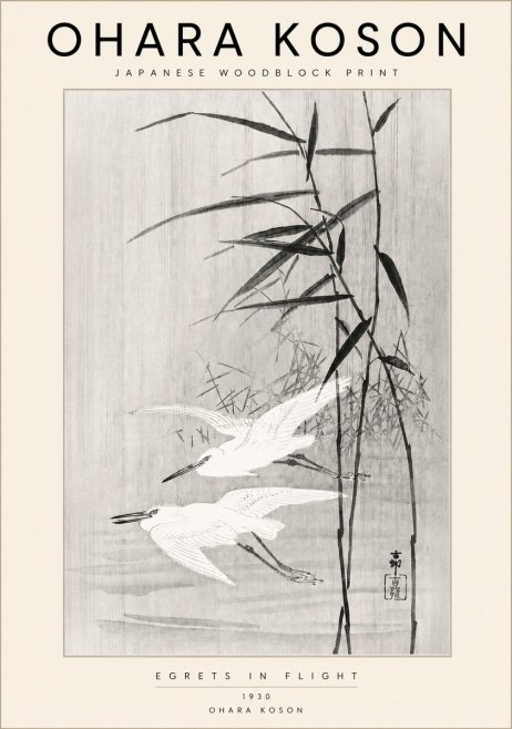 Ohara Koson Two Herons and Reeds No6 - Plakat