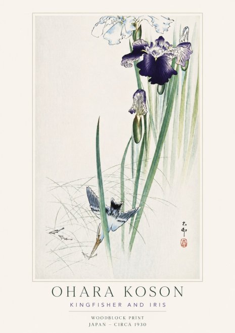 Ohara Koson Kingfisher and Iris No3 - Plakat