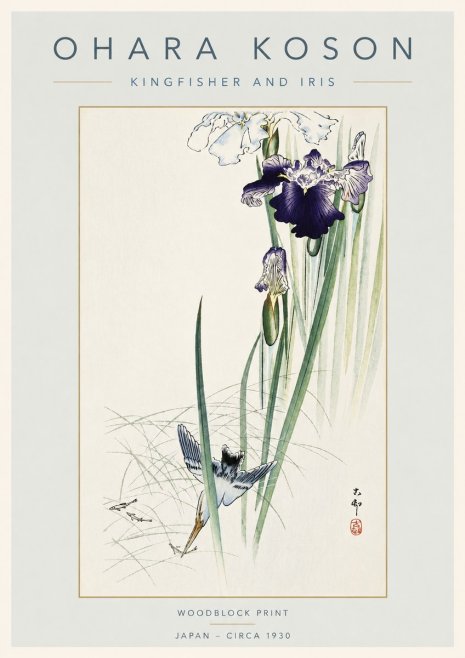 Ohara Koson Kingfisher and Iris No4 - Plakat