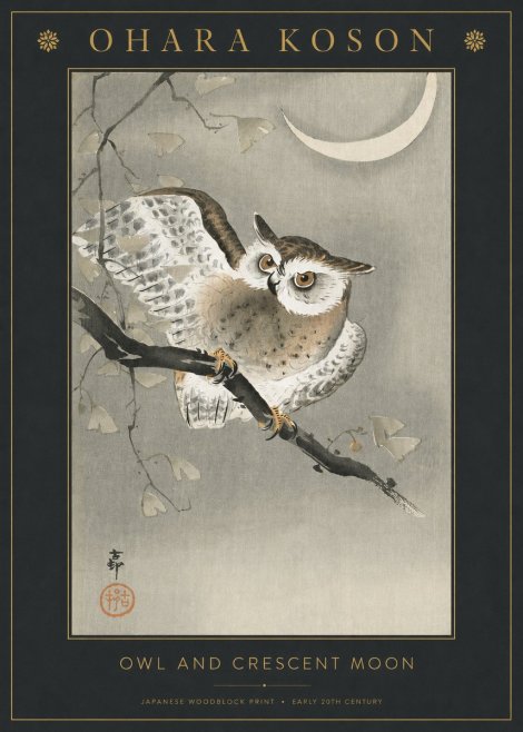 Ohara Koson Owl and Crescent Moon No3 - Plakat