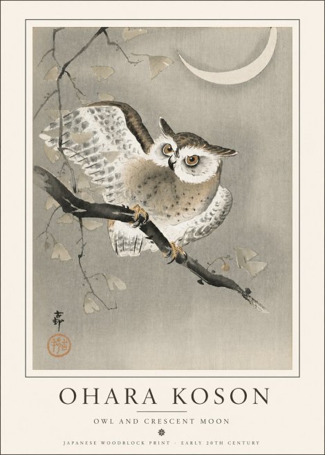 Ohara Koson Owl and Crescent Moon No5 - Plakat