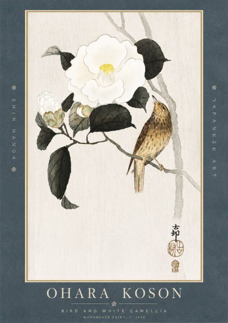 Ohara Koson Bird and White Camellia No3 - Plakat