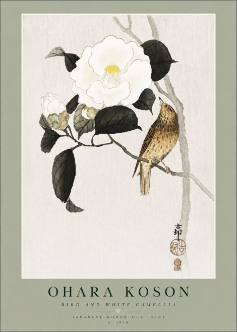 Ohara Koson Bird and White Camellia No4 - Plakat