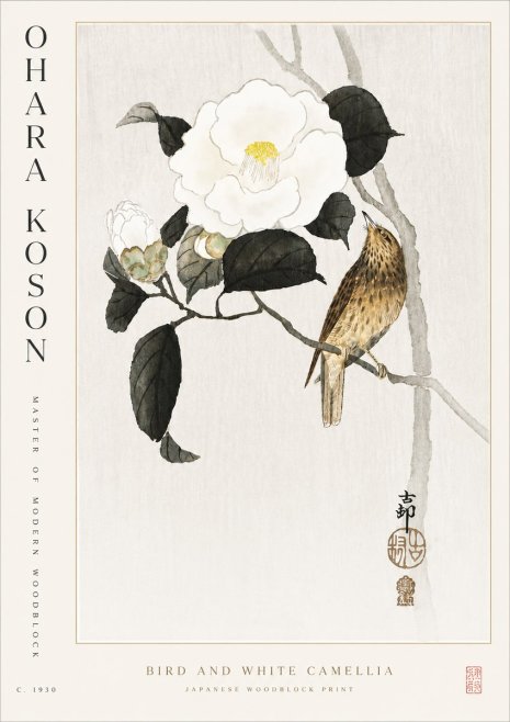 Ohara Koson Bird and White Camellia No5 - Plakat