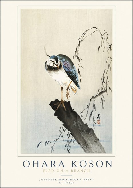 Ohara Koson Bird on a Branch III No3 - Plakat