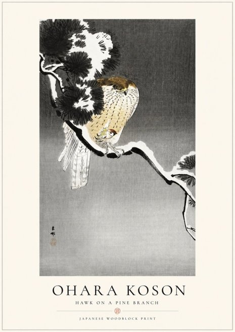 Ohara Koson Hawk on a Pine Branch No1 - Plakat