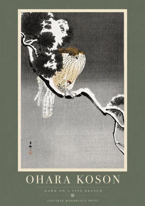 Ohara Koson Hawk on a Pine Branch No5 - Plakat