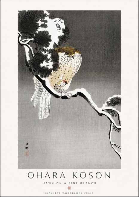 Ohara Koson Hawk on a Pine Branch No6 - Plakat