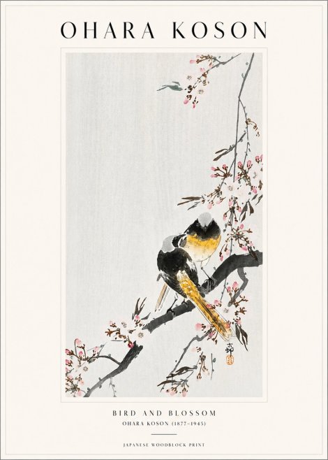 Ohara Koson Bird and Blossom No1 - Plakat