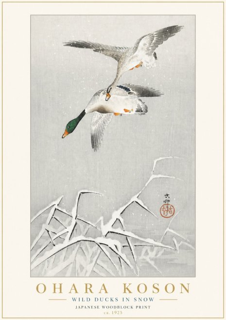 Ohara Koson Wild Ducks in Snow No3 - Plakat