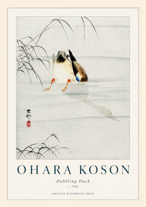 Ohara Koson Dabbling Duck No1 - Plakat