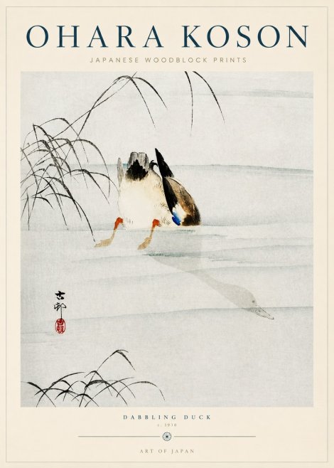 Ohara Koson Dabbling Duck No3 - Plakat