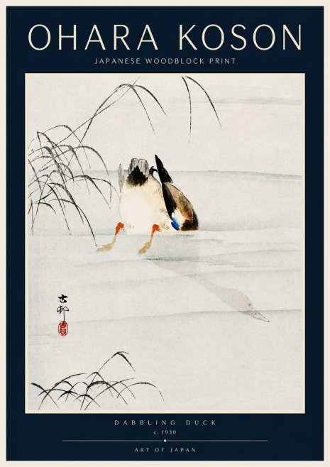 Ohara Koson Dabbling Duck No4 - Plakat