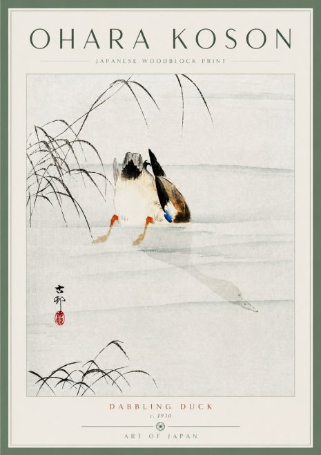 Ohara Koson Dabbling Duck No5 - Plakat