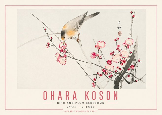 Ohara Koson Bird and Plum Blossoms No5 - Plakat