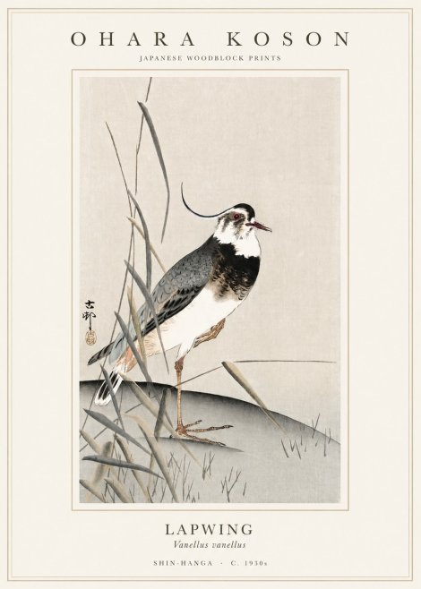 Ohara Koson Lapwing No1 - Plakat