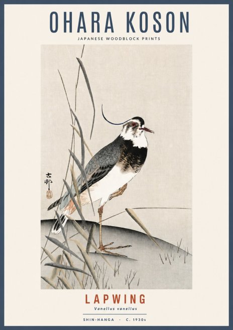 Ohara Koson Lapwing No2 - Plakat