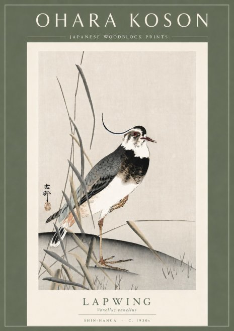 Ohara Koson Lapwing No3 - Plakat