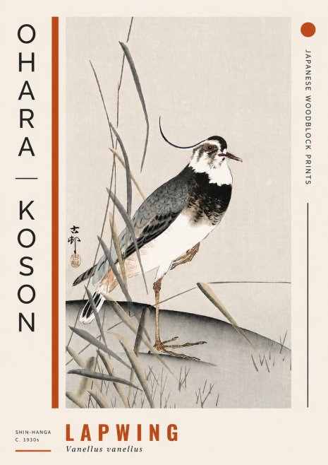 Ohara Koson Lapwing No4 - Plakat