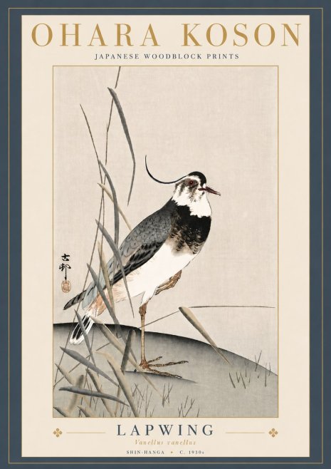 Ohara Koson Lapwing No5 - Plakat