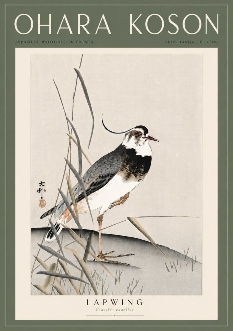 Ohara Koson Lapwing No6 - Plakat