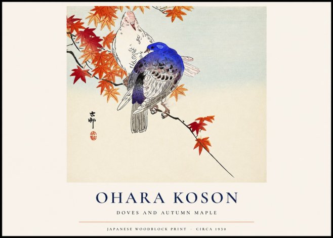 Ohara Koson Doves and Autumn Maple No1 - Plakat