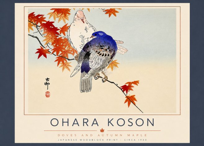 Ohara Koson Doves and Autumn Maple No5 - Plakat