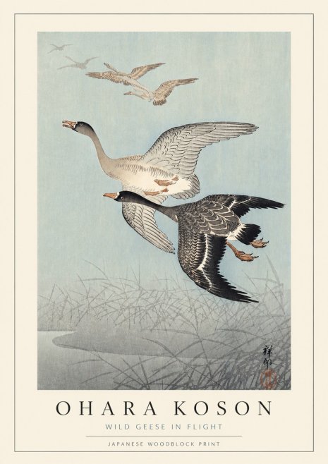 Ohara Koson Wild Geese in Flight II No3 - Plakat