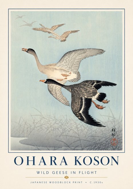 Ohara Koson Wild Geese in Flight II No6 - Plakat