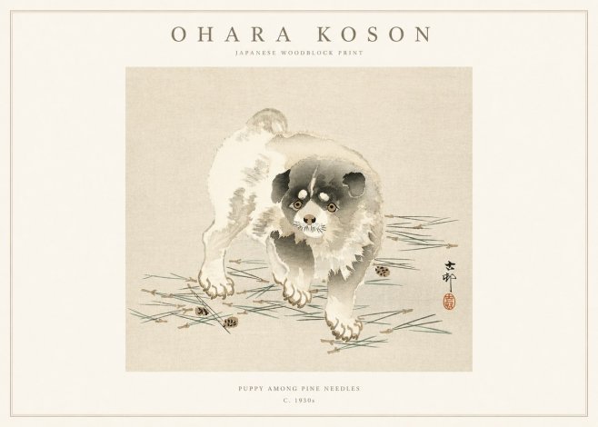 Ohara Koson Puppy Among Pine Needles No1 - Plakat