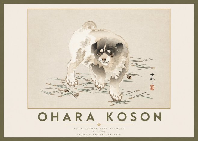 Ohara Koson Puppy Among Pine Needles No2 - Plakat