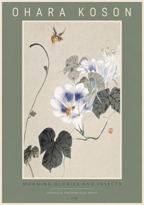 Ohara Koson Morning Glories and Insects No2 - Plakat