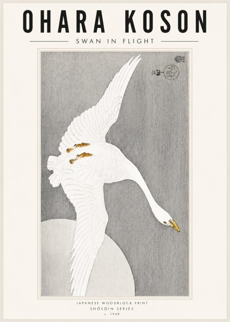 Ohara Koson Swan in Flight No5 - Plakat