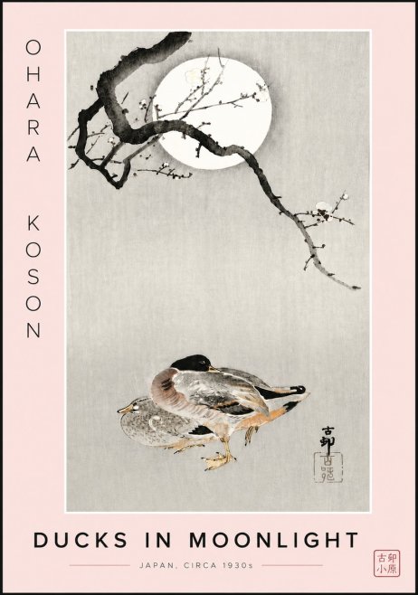 Ohara Koson Ducks in Moonlight No6 - Plakat