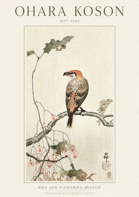Ohara Koson Bird and Flowering Branch No1 - Plakat