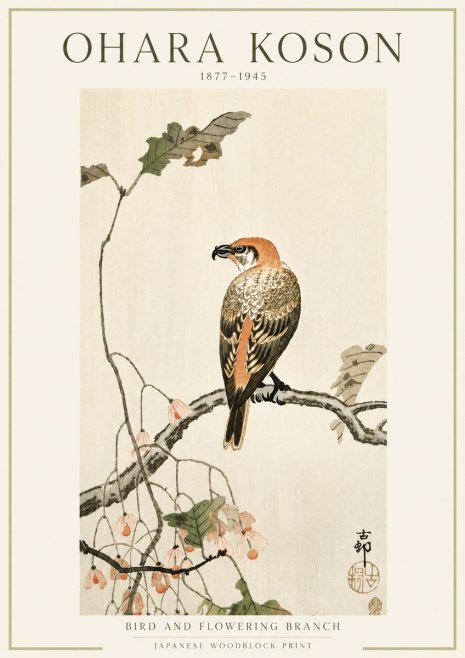 Ohara Koson Bird and Flowering Branch No5 - Plakat