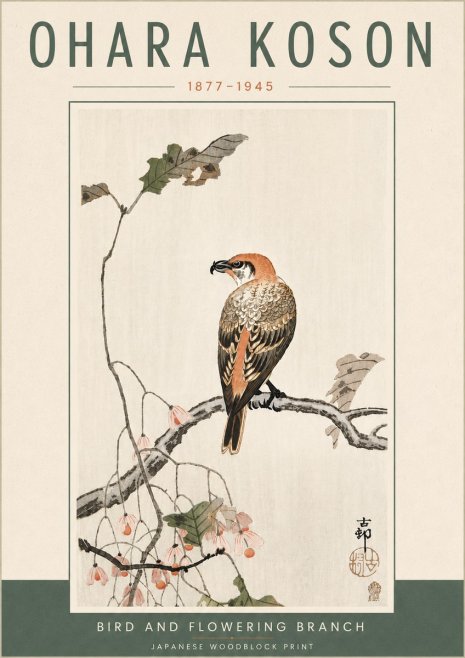 Ohara Koson Bird and Flowering Branch No6 - Plakat