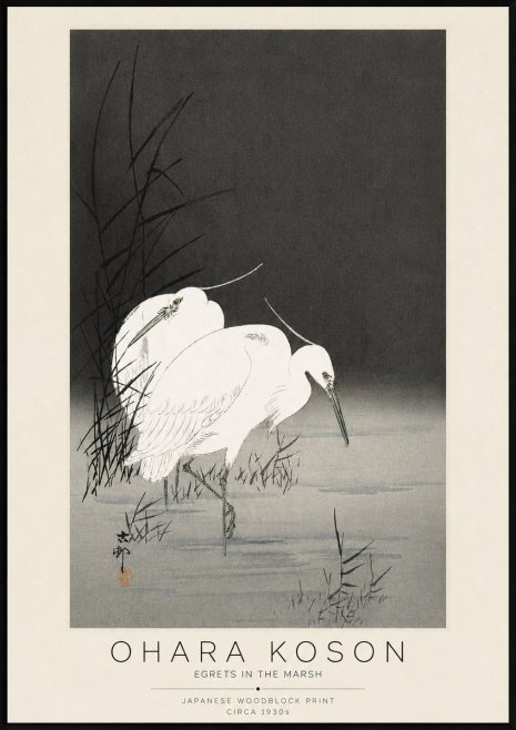 Ohara Koson Egrets in the Marsh No3 - Plakat