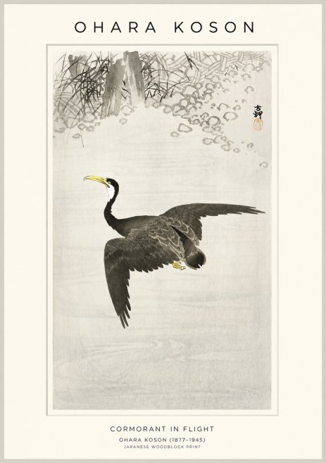 Ohara Koson Cormorant in Flight No1 - Plakat