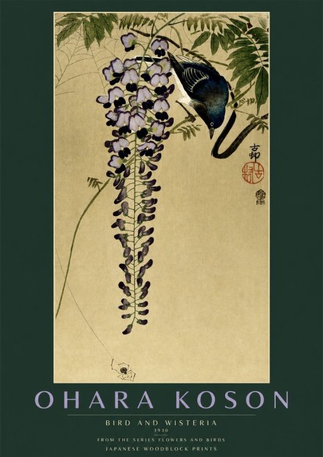 Ohara Koson Bird and Wisteria No2 - Plakat