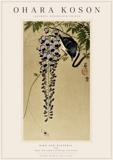 Ohara Koson Bird and Wisteria No3 - Plakat