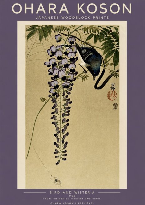 Ohara Koson Bird and Wisteria No4 - Plakat
