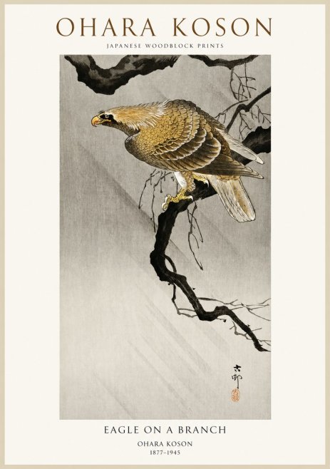 Ohara Koson Eagle on a Branch II No1 - Plakat