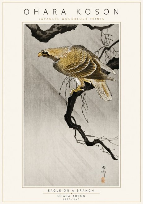 Ohara Koson Eagle on a Branch II No3 - Plakat