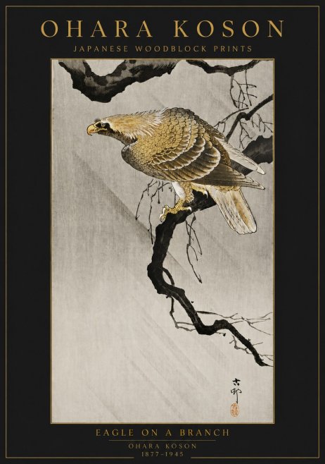 Ohara Koson Eagle on a Branch II No6 - Plakat