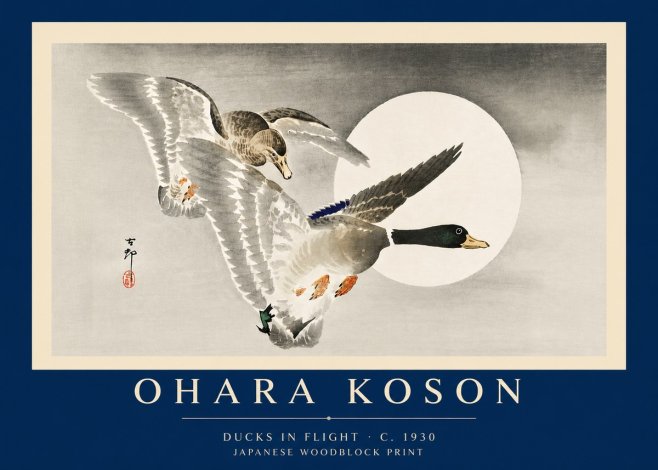 Ohara Koson Ducks in Flight No6 - Plakat