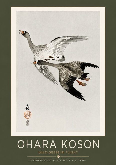 Ohara Koson Wild Geese in Flight III No4 - Plakat