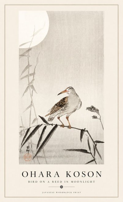 Ohara Koson Bird on a Reed in Moonlight No1 - Plakat