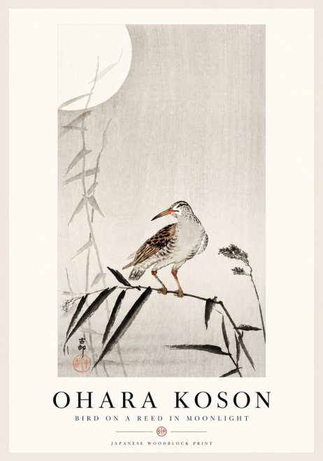 Ohara Koson Bird on a Reed in Moonlight No4 - Plakat